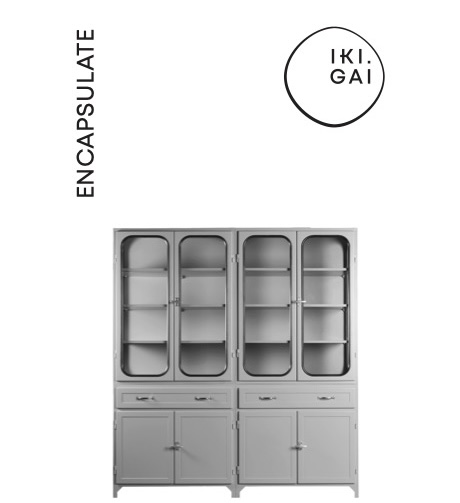 Encapsulate collection